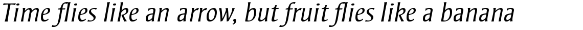 Strayhorn Light Italic