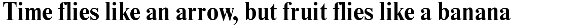 Times New Roman Condensed Bold