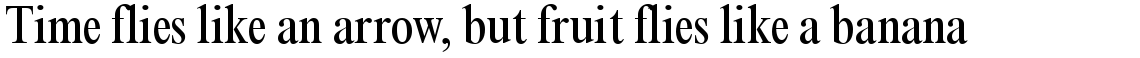 Times New Roman Condensed