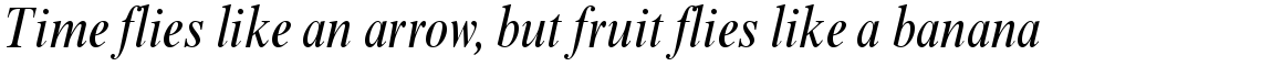 Times New Roman Condensed Italic