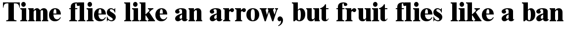 Times New Roman Extra Bold