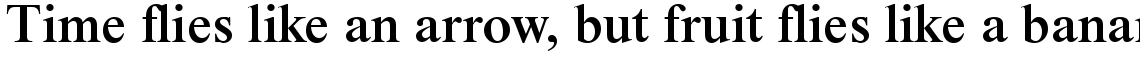 Times New Roman Medium
