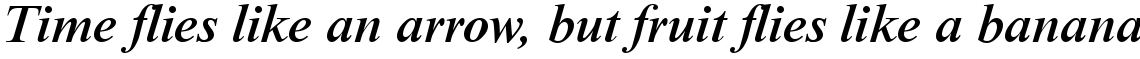 Times New Roman Medium Italic