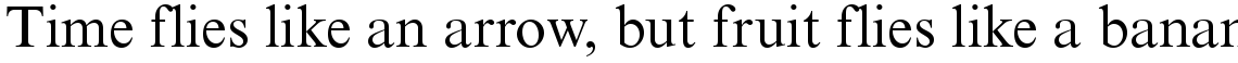 Times New Roman PS Regular