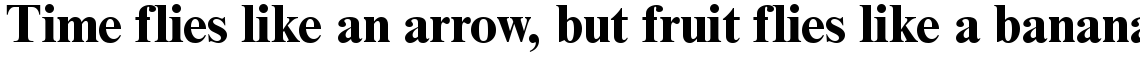 Times New Roman PS Bold