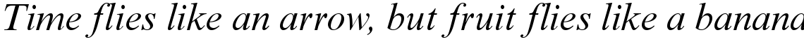 Times New Roman PS Italic