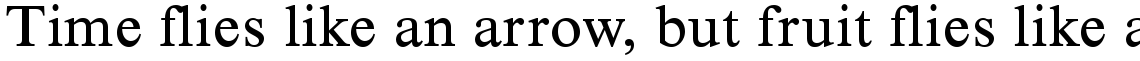 Times New Roman Seven