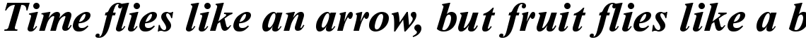 Times New Roman Seven Bold Italic