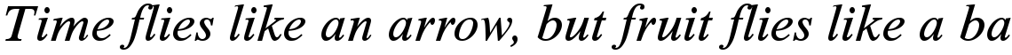 Times New Roman Seven Italic