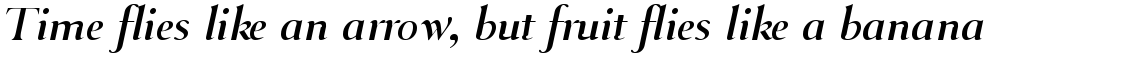 Selune Clair Italic