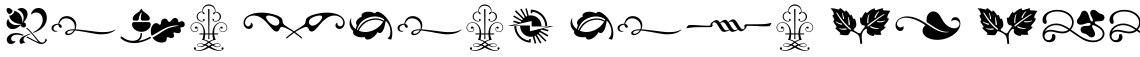 Type Embellishments One