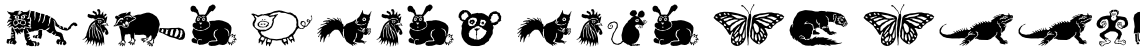 Wildlife Pi