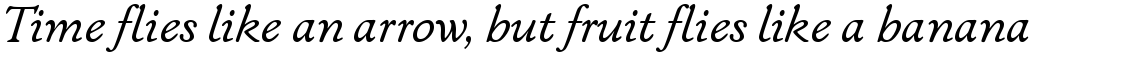 ITC New Winchester Book Italic