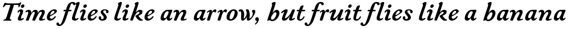 ITC New Winchester Bold Italic
