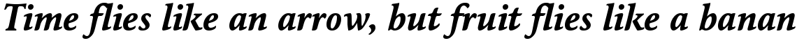 Maxime Bold Italic