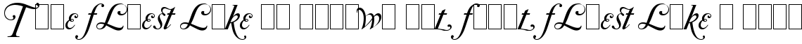 Caslon #540 Italic Swashes