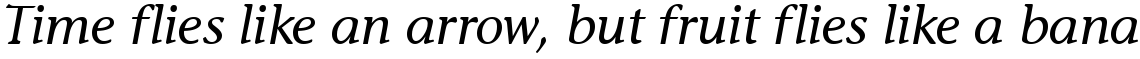 ITC Stone Informal Medium Italic OsF