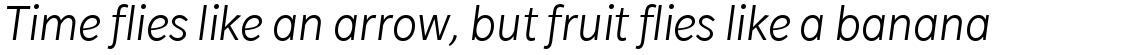 Slate Light Italic