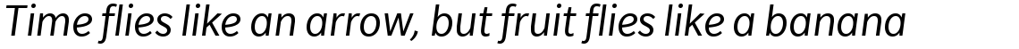 Slate Book Italic