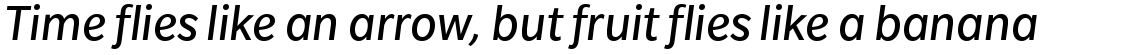 Slate Italic