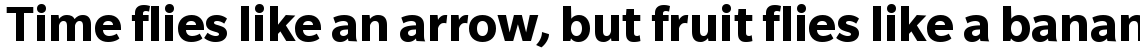 Slate Bold