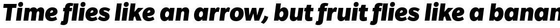 Slate Black Italic