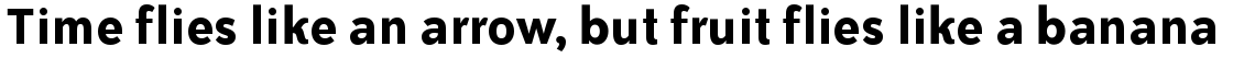 ITC Bailey Sans Bold