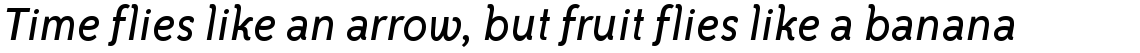 ITC Bailey Sans Book Italic