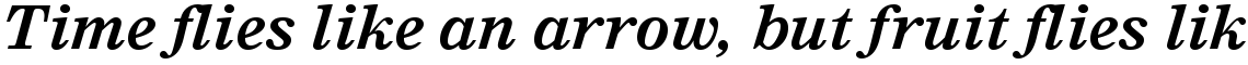 Nimrod WGL Bold Italic