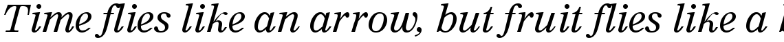 Nimrod WGL Italic