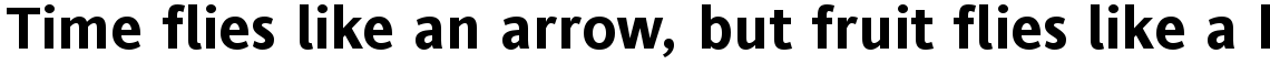 Andale Sans WGL Bold