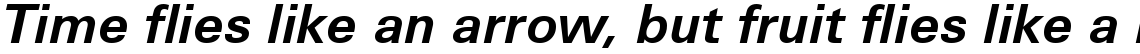 Utah WGL Bold Italic
