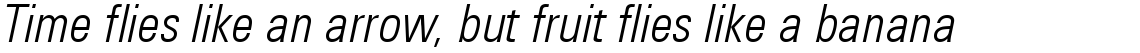 Utah WGL Condensed Light Italic