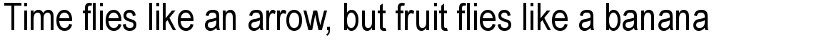 Arial Narrow OS Regular
