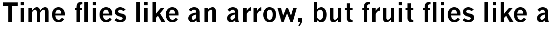 Monotype News Gothic WGL Bold