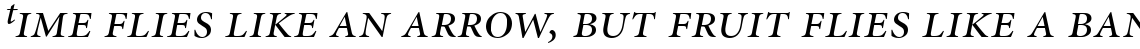 Minion Display Italic Expert