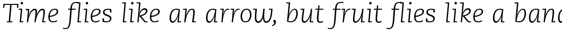 PMN Caecilia 46 Light Italic OsF
