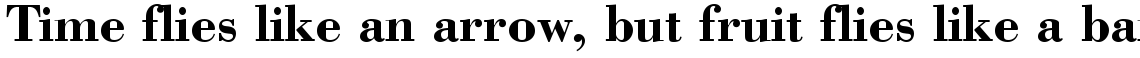 Bodoni Bold