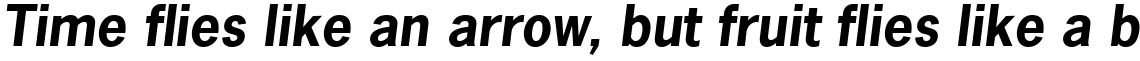 News Gothic Bold Oblique