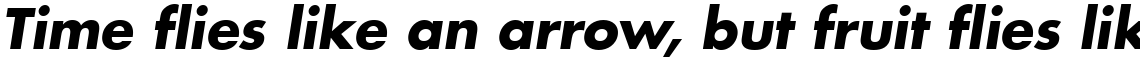 Futura Bold Oblique