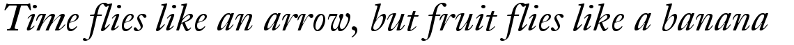 Janson Text 56 Italic