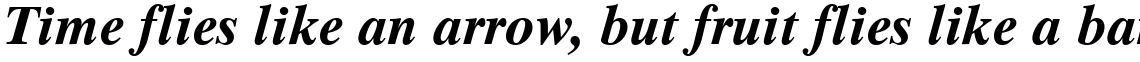 Times Ten Bold Italic