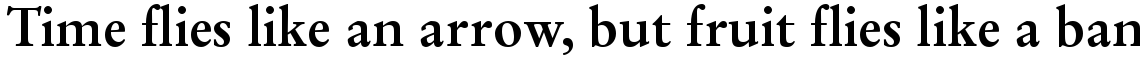 Stempel Garamond Bold