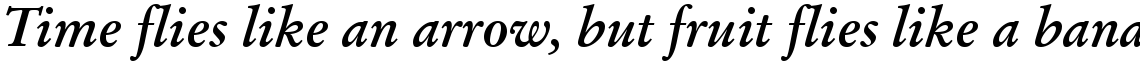 Stempel Garamond Bold Italic