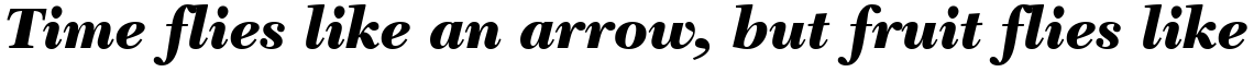 New Caledonia Black Italic