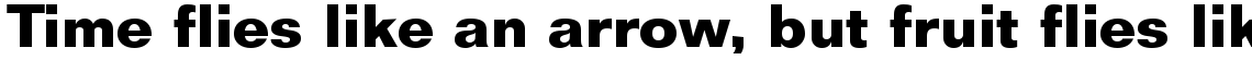 Folio Bold