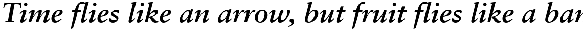 Sabon Bold Italic
