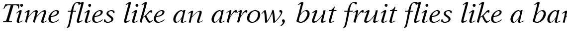New Aster Italic