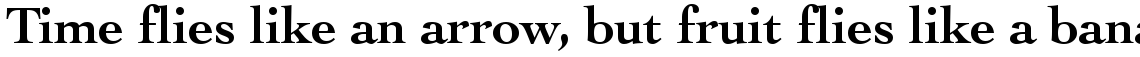 Cochin Bold