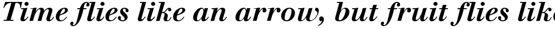 Walbaum Bold Italic